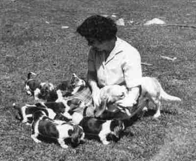 Grammy with Basset Hound puppies, circa 1960